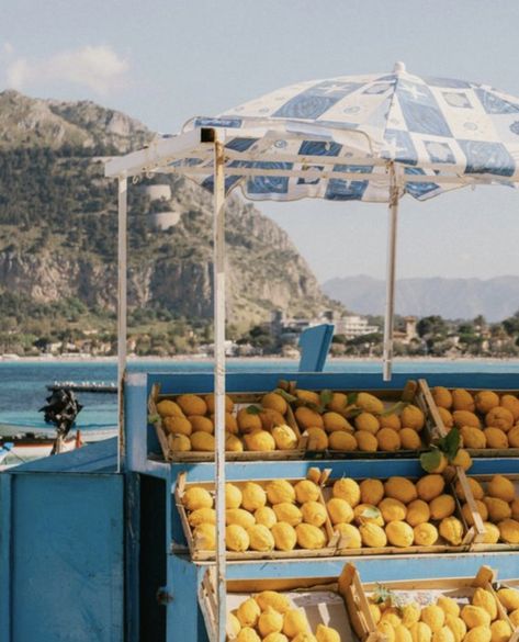 📸: crovogue Mediterranean Aesthetic, Europe Summer, Italian Summer, Summer Feeling, Summer Dream, European Summer, Sardinia, Positano, Travel Inspo