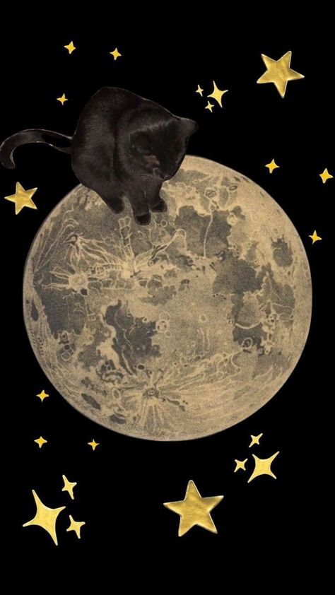 Moon Moodboard, Wallpaper Gatos, Iphone Wallpaper Cat, Cat Moon, Cocoppa Wallpaper, Arte Van Gogh, K Wallpaper, Iphone Wallpaper Themes, Star Wallpaper