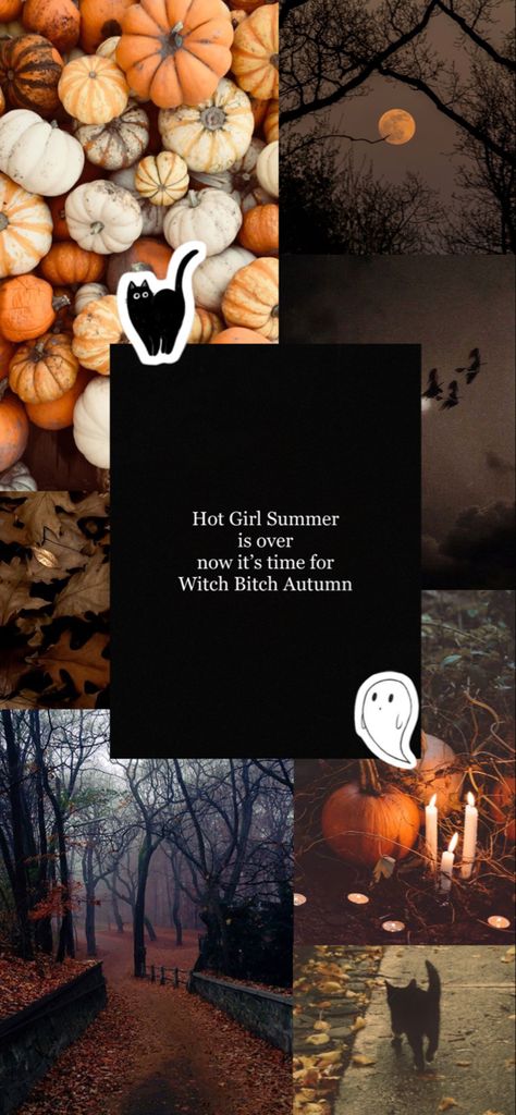 Autumn Witch Aesthetic Wallpaper, Witch Wallpaper, Autumn Witch, Lockscreen Aesthetic, Halloween Autumn, Autumn Halloween, Witch Halloween, Witch Aesthetic, Halloween Backgrounds