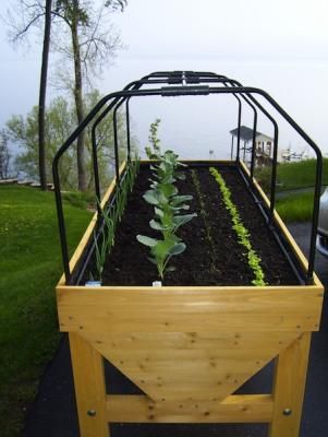 Veg Trug Planting Ideas, Hydroponic Design, Vegtrug Planting Plans, Enclosed Raised Garden Bed Plans, Mini Greenhouse Raised Bed, Accessible Gardening, Amending Soil In Raised Beds, Vegitabal Garden, Veg Trug