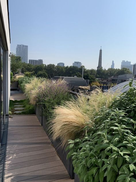 Roof Garden by Bowles & Wyer Rooftop Garden Ideas, Rooftop Planters, Rooftop Ideas, Garden Rooftop, Roof Garden Design, Balcony Planters, Rooftop Terrace Design, Rooftop Lounge, Balcony Plants