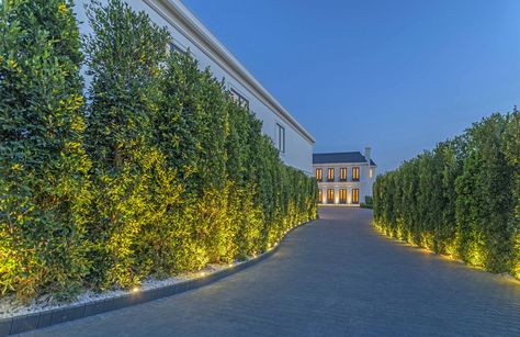 Beverly Hills Mansion, Driveway Design, Los Angeles Real Estate, Expensive Houses, Landscape Lighting, Garden Decoration, Driveway, Luxury Real Estate, 인테리어 디자인