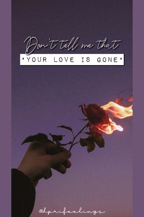 Love ist gone. SLANDER Your Love Is Gone, Lyrics Wallpaper, Love Is Gone, Quotes Funny, Wallpaper Quotes, Tell Me, Iphone Wallpaper, In Love, Funny Quotes