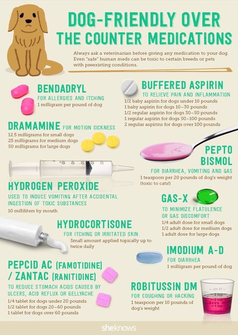 Dog friendly medications. I even had my vet take a look at the list to assure me they were all OK to use. Baby Aspirin For Dogs, Aspirin For Dogs, Meds For Dogs, Dog Medicine, Dog Remedies, Fu Dog, Akita Dog, Love My Dog, Dog Care Tips