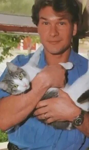 Patrick Swayze Celebrities With Cats, Famous Cats, Men With Cats, Patrick Swayze, Two Cats, Dirty Dancing, Cat People, Cat Owners, Crazy Cat Lady