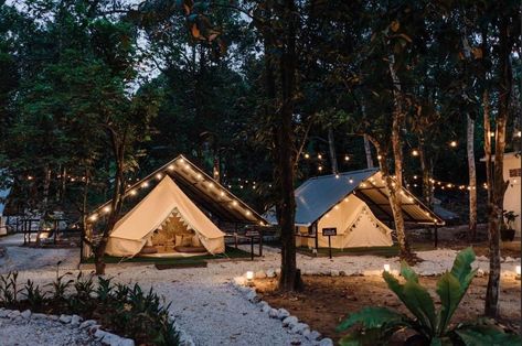 Camping Ground Layout, Campground Ideas Campsite, Fall Glamping, Amazing Tents, Japan Camping, Tents Camping Glamping, Camping Ground, Tent Living, Camping Inspiration