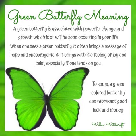 Willow Witchcraft Green Butterfly Spiritual Meaning, Green Butterfly Meaning, Green Butterfly Tattoo, Butterfly Spirit Animal, Butterfly Symbolism, Butterfly Meaning, Spirit Animal Meaning, Spiritual Animal, Butterfly Quotes