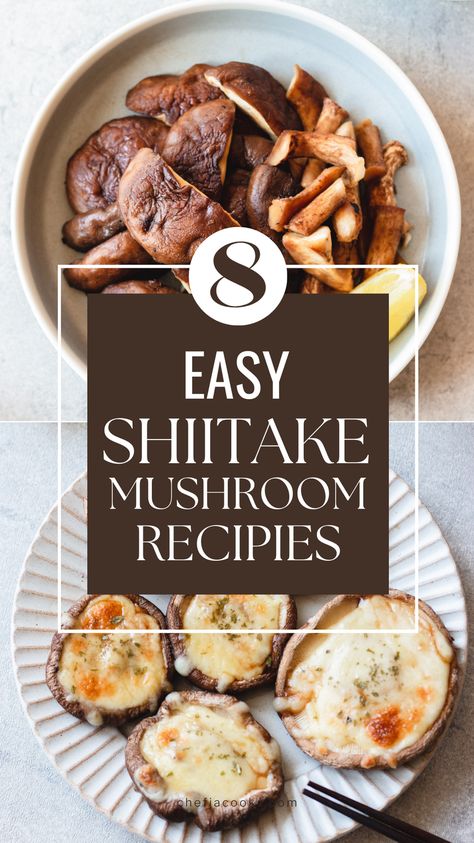 Shiitake Mushroom Recipes Vegan, Recipes With Shiitake Mushrooms, Recipes With Shitake Mushrooms, Dried Shiitake Mushroom Recipes, Dried Shitake Mushroom Recipes, Shitake Mushroom Recipes, Shiitake Mushroom Recipes, Shiitake Recipes, Shiitake Mushroom Soup