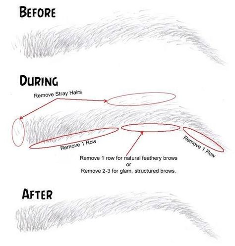 Eyebrow Shaping Tutorial, Plucked Eyebrows, Eyebrow Tutorial Shaping, Eyebrow Plucking, Eyebrow Trends, Brow Threading, Plucking Eyebrows, Eyebrow Powder, Beautiful Eyebrows