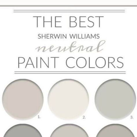 Grit and Ash Designs on Instagram: "We get asked all the time… “What is the best neutral wall color?” The answer is not always the same. Your space, your light and your surroundings have everything to do with the answer we give, but here are some of our favorites from Sherwin Williams.  1. Agreeable Gray | 2. Alabaster | 3. Aloof Gray 4. Ellie Gray | 5. Repose Gray 6. Mindful Gray | 7. Passive | 8. Pure White  9. Quick Silver  Credit: City Farmhose #Gritandash #girlboss #womenentrepreneur  #ladypower #hocomd #howardcountymd  #montgomerycountymd  #frederickcountymd  #carrollcountymd  #repurposed #custombuild #barnwood #designinspiration  #interiordesign #repurposedfurniture  #womenownedbusiness  #shopsmall #designforlife #earthelements #naturaltexture" Best Neutral Wall Color, Aloof Gray, Neutral Wall Color, Neutral Wall Colors, Quick Silver, Mindful Gray, Repose Gray, Agreeable Gray, Neutral Paint Colors