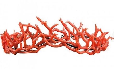 Coral Crown Mermaid, Coral Headpiece, Antique Tiara, Coral Crown, Sea Crown, Operation Christmas Child Shoebox, Coral Hair, Crown Drawing, Natural Branches