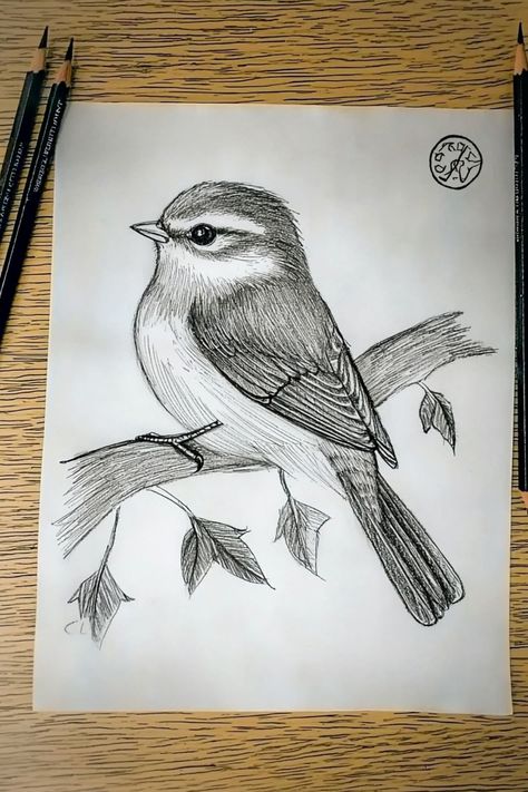 A little sketch of a bird perched on a branch, drawn with fine lines and detail, ideal for nature-inspired sketches. Pencil Art Drawings Sketches Ideas Simple, Birds Sketches Pencil, Bird Poses, Birds Sketches, Wildlife Drawings, Bird Sketches, Bird Pencil Drawing, Little Sketches, Sketching Practice