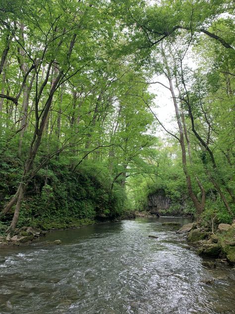 Ohio Summer Aesthetic, Green Screensaver, Ohio Aesthetic, Aesthetic River, Norwalk Ohio, Ohio Hiking, Summer Vision, 2024 Inspiration, Big Move