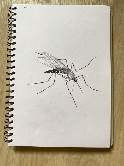 Mosquito Painting, Mosquito Tattoo, Mosquito Art, Mosquito Drawing, Reference Pics, Pen Art Drawings, 3d Tattoos, Art Pen, 3d Tattoo