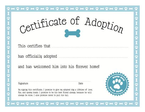 Certificate of Pet Adoption Animal Adoption Certificate, Oc Development, Adoption Certificate Template, Dog Adoption Certificate, Adopt An Animal, Pet Adoption Certificate, Pet Regression, Blank Certificate Template, Free Certificate Templates