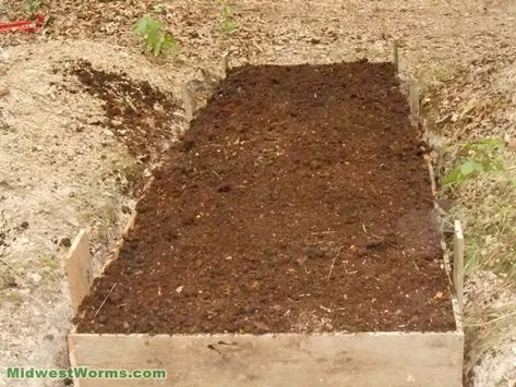 My Outdoor In-Ground Worm Bed - Midwest Worms In Ground Worm Bin, Worm Beds How To Make A, Raising Worms, Worm Farm Diy, Frozen Bedding, Worm Beds, Living Off Grid, Crushed Limestone, Red Wigglers