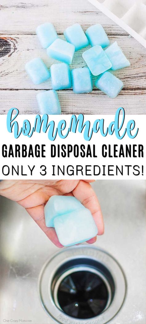 Cafeteria Kitchen, Cleaning Disposal, Garbage Disposal Cleaning, Garbage Disposal Cleaner, Disposal Cleaner, Homemade Cleaning Recipes, Homemade Cleaning Supplies, Natural Cleaning Recipes, Diy Cleaning Solution