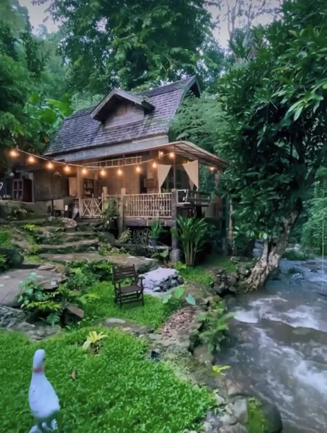 Cozy Cottage In The Woods Interiors, Cottages In The Forest, Whimsical Cabin In The Woods, Cute House In The Forest, Cute Houses In The Woods, Cozy House In The Woods, Woods Cottage, Cottage Forest House, Cottage House In Forest