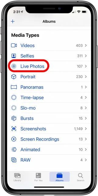 How to Make a GIF on iPhone from a Live Photo (2022 Update) Gif Photo, Iphone Video, Live Photos, Make A Gif, Iphone Camera, Gif Pictures, Make A Video, Live Photo, A Video