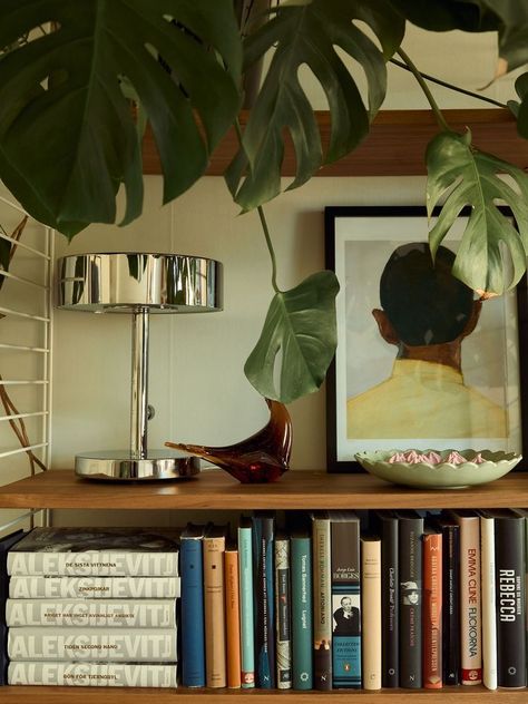 Old Vintage Interior, Dark Academia Aesthetic House, House Plant Shelf, Aesthetic Shelf, Plants Apartment, Deco Retro, Modernist Design, Apartment Inspiration, Book Shelf