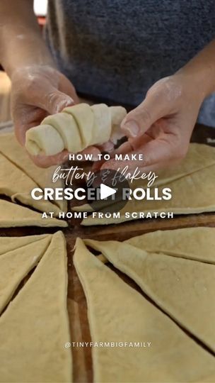 Homemade Crescent Rolls, Croissant Roll, Tiny Farm, 2024 Recipes, Biscuit Rolls, Baked Rolls, Fun Deserts, Crescent Roll Recipes, Crescent Roll