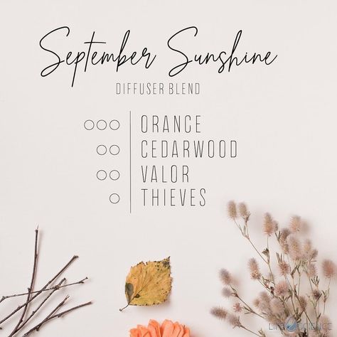 September Diffuser Blends, Home Diffuser Blends, Young Living Essential Oil Diffuser, Diffuser Blends Young Living, Fall Essential Oil Blends, Young Living Oils Recipes, Living Oils Recipes, Fall Essential Oils, Fall Diffuser Blends