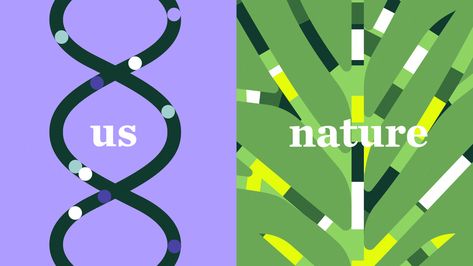 Nature.org — Regenerative Food Systems | Episode #4 on Behance Dna Design Graphics, Dna Graphic Design, Iq Logo, Nature Graphic Design, Energy Illustration, Growth Design, Regenerative Design, Nature Brand, System Design