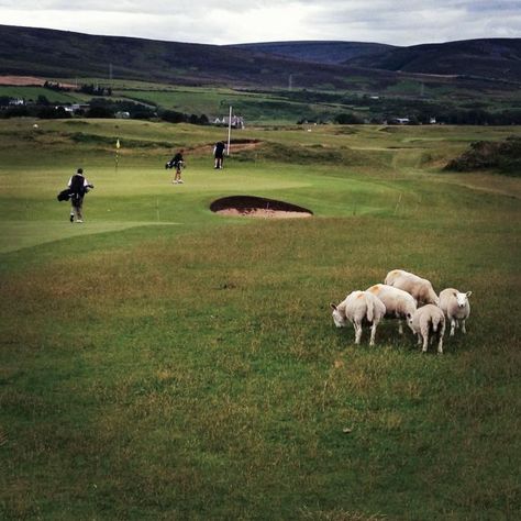 Scotland Golf, Golf Trips, Golf Digest, Golf Trip, Vintage Golf, Golf Resort, Pga Tour, British Isles, Scottish Highlands