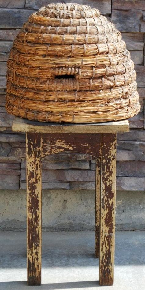 Bee Skeps, I Love Bees, Bee Skep, Bee Hives, Bee Keeper, Birds And The Bees, Bee's Knees, Vintage Bee, Bee Garden