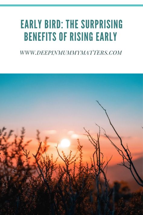 Early Bird: The Surprising Benefits of Rising Early Sleep Inertia, Wellbeing Quotes, Morning Workout Routine, Early Riser, Breathing Problems, Go To Bed Early, Enjoy The Silence, Getting Up Early, During The Day