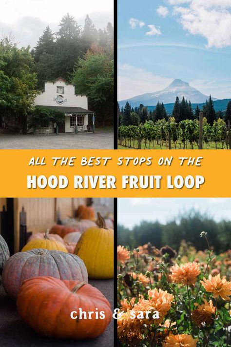 Embark on an unforgettable journey through Hood River, Oregon's scenic Fruit Loop. 🍎🍇 Explore charming orchards, vibrant vineyards, and breathtaking landscapes. Our travel guide, Chris and Sara, will lead you to the best stops along the way, ensuring you make the most of your adventure. Unlock the secrets of Hood River's Fruit Loop today and taste the essence of Oregon's bountiful harvest! 🌳🌻 #HoodRiver #Oregon #FruitLoop #TravelGuide Hood River Oregon Things To Do In, Hood River Fruit Loop, Portland Oregon Travel, Hood River Oregon, Fall Vacation, Fall Vacations, My Hood, Hood River, Fruit Loops