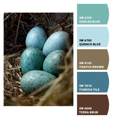 Digging this scheme fo rliving room/ Kitchen.  Assuming one room is open to the other. Oh yes and the entry way since it does lead into the living space. Robin egg blue - Paint colors from Chip It! by Sherwin-Williams Robins Egg Blue Color Scheme, Robins Egg Kitchen, Robin’s Egg Blue, Robins Egg Blue Decor, Robin Egg Blue Bedroom Ideas, Robin Egg Blue Living Room, Robin’s Egg Blue Paint, Robin Egg Blue Bedroom, Robin Egg Blue Paint Color