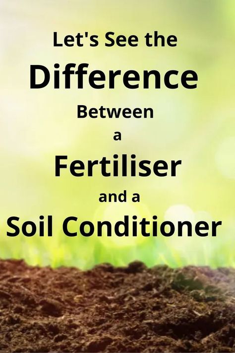 More information about "What Is the Difference Between a Fertiliser and a Soil Conditioner?" can be found here. How To Make Soil Acidic, Solarization Soil, Soil Amendments, Making Soil More Acidic, Soil Conditioner, Australian Photography, O Canada, Australian Wildlife, Australia Day