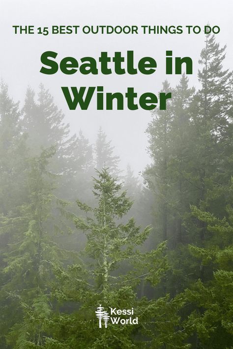 Seattle in Winter - the best outdoor things to do - Kessi World Seattle Japanese Garden, Seattle Winter, City In Winter, Things To Do In Seattle, Seattle Center, Wetland Park, Olympic Mountains, West Seattle, Emerald City