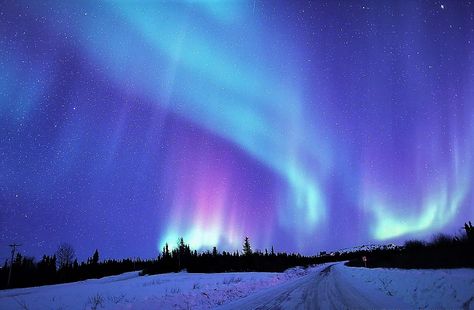 Aurora Borealis Photography, Northern Lights Horizontal, Aurelia Borealis, Aurora Borealis Aesthetic, Aesthetic Northern Lights, Winter Aurora Borealis, Northern Lights Aesthetic, Northern Lights Background, Aurora Borealis Landscape