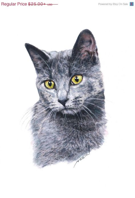 Cat Pet Portrait, Chien Shih Tzu, Cat Portrait Painting, Blue Drawings, Animal Illustration Art, Cat With Blue Eyes, Russian Blue Cat, Grey Cat, Cat Artwork