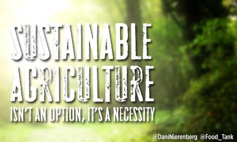 Sustainable agriculture isn't an option, it's a necessity. #sustainability #agriculture Restoration Agriculture: http://amzn.to/1pJWNPO Restoration Agriculture, Sustainable Agriculture, Vegan Restaurants, Food Reviews, Agriculture, Sustainability, Free Shipping