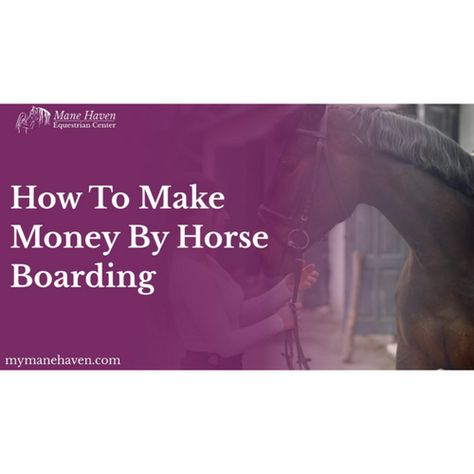 In order to make the business worthwhile, an individual must have the knowledge of the minimum amount the individual needs to earn. In this article we'll give you some ideas and a couple of first-hand experiences that should help you better decide if running a boarding stable is really what you want to do. #horseboardingsalary, #horseboardingprofitcalculator, #boardinghorsescost #howmuchmoneycanyoumakeboardinghorses #boardinghorsesnearme #horseboardingbusinessplan #makemoneywithahorsefarm Horse Boarding Business, Equestrian Facilities, Horse Boarding, Horse Farm, Horse Stables, Horse Farms, Horse Rider, A Horse, Stables