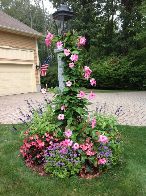 Flower Bed Around Lamp Post, Light Pole Flower Bed, Yard Lamp Post Landscaping, Landscaping Around A Lamp Post, Lamp Post Flower Bed Ideas, Front Yard Lantern Post, Front Light Post Landscaping, Landscaping Around A Light Post, Front Yard Landscaping Around Light Post