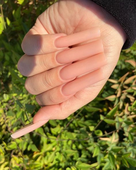 Nude Long Nails, Long Pink Nails, Plain Acrylic Nails, Gold Gel Nails, Matte Acrylic Nails, Deluxe Nails, Acrylic Nails Nude, Sheer Nails, Tapered Square Nails