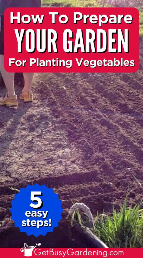 a man working in an empty garden tilling up the soil Preparing Garden Beds, Garden Soil Preparation, Vegetable Garden Soil, Soil Amendments, Vegetable Garden Beds, Natural Pest Control, Drip Irrigation System, Organic Soil, Cold Frame