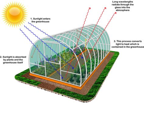 How Does a Greenhouse Work? - Essential Home and Garden Green House Model, Tunnel Greenhouse, School Science Projects, Farmhouse Vibes, Garden Pond Design, Garden Tool Organization, Home Greenhouse, Greenhouse Effect, Green Houses