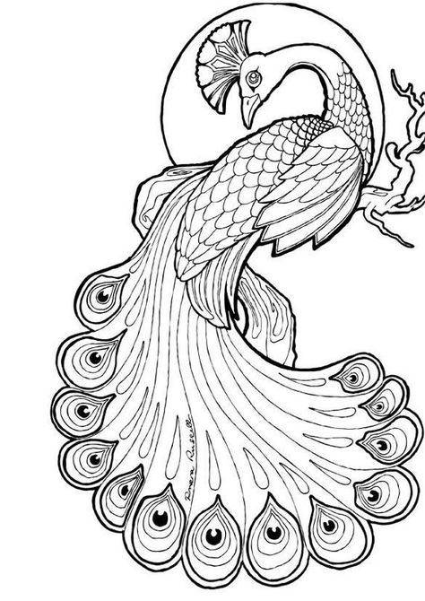 Peacock Coloring Pages, Peacock Drawing, Peacock Wall Art, Elephant Drawing, Colouring Page, Peacock Art, Free Hand Drawing, Coloring Page Ideas, Easy Coloring Pages