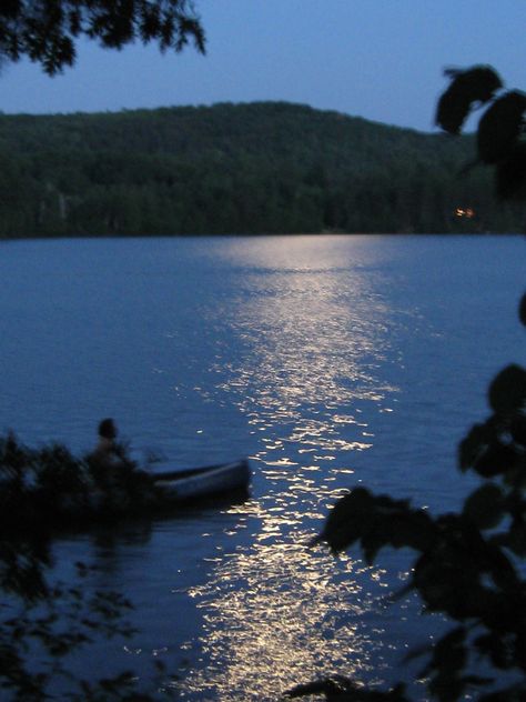 Adventure Book Aesthetic, Midnight Lake Aesthetic, Vintage Lake Aesthetic, Where The Crawdads Sing Aesthetic Book, Marsh Girl Aesthetic, Kya Clark Aesthetic, Lake Aestethic, The Lakes Aesthetic, Kya Clark Where The Crawdads Sing