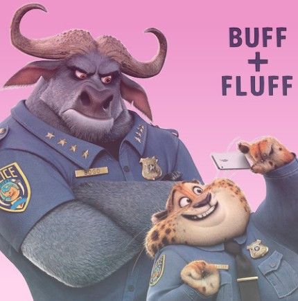 Bogo X Clawhauser, Officer Clawhauser, Zootopia Chief Bogo, Chief Bogo, Character Ships, Disney Zootopia, Cartoon Tv Shows, Disney Favorites, Animation Movie