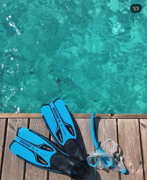 Scuba Aesthetic, Scuba Diving Aesthetic, Snorkeling Aesthetic, Diving Aesthetic, Dove Brand, Surfer Aesthetic, Dive Flag, Snorkeling Gear, Marine Biology