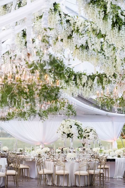 Swagged Tent & Wisteria Over Tables Antigua Aesthetic, Wedding Tent Ideas, Fake Flower Garland, Wisteria Vines, Wisteria Wedding, Tent Ideas, Party Wall Decorations, Party Wall, Wedding Inside