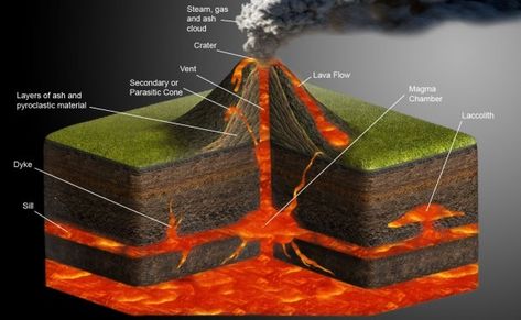 Cinder Cone Volcano Diagram Volcano Parts, Volcano Science Projects, Cinder Cone Volcano, Volcano Model, Volcano Projects, Shield Volcano, Geography For Kids, Plate Tectonics, Active Volcano