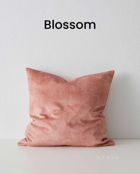 Add soft luxurious comfort to your living room or bedroom with the Ava Velvet Cushion measuring 50cm. It is easy to see why Ava is one of our most loved and best-selling cushions with her gorgeous 20 colours to suit your home colour palette https://www.beautifulhomedecor.com.au/products/ava-velvet-cushion-50cm-weave-cushions-and-covers #beautifulhomedecor #beautifulhomedecoraus #homedecoraustralia #cushions #decorativecushions #cushionstyling #cushionlove #cushionstyle #velvetcushions #lin... Home Colour Palette, Blush Pink Cushions, Dark Green Cushions, Complimenting Colors, Home Decor Australia, Home Styling Tips, Orange Cushions, Warwick Fabrics, Gorgeous Style