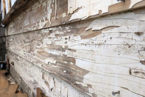 Field Guide: Painting Peeling Wood Siding & Trim — Old Home Rescue Old Wood Siding, Siding Trim, Painting Old, Paint Prep, Siding Paint, Hose Nozzle, Brush Roll, Peeling Paint, Old Home